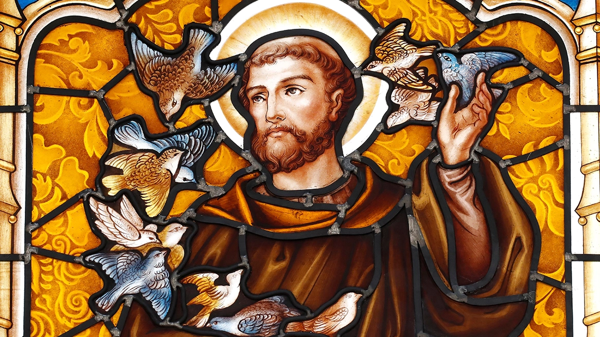 São Francisco de Assis — vitral